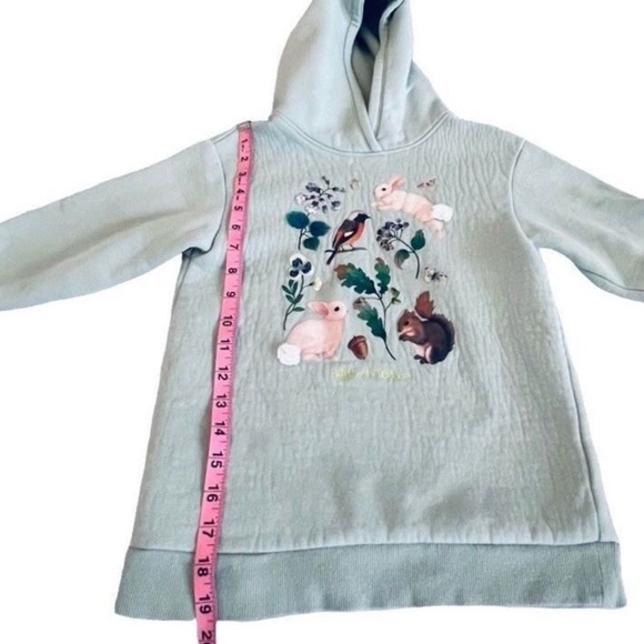 Whooli Chen x H&M Girl’s Mint Green Bunnies Woodland Hoodie Size 5T/6 - Picture 4 of 11